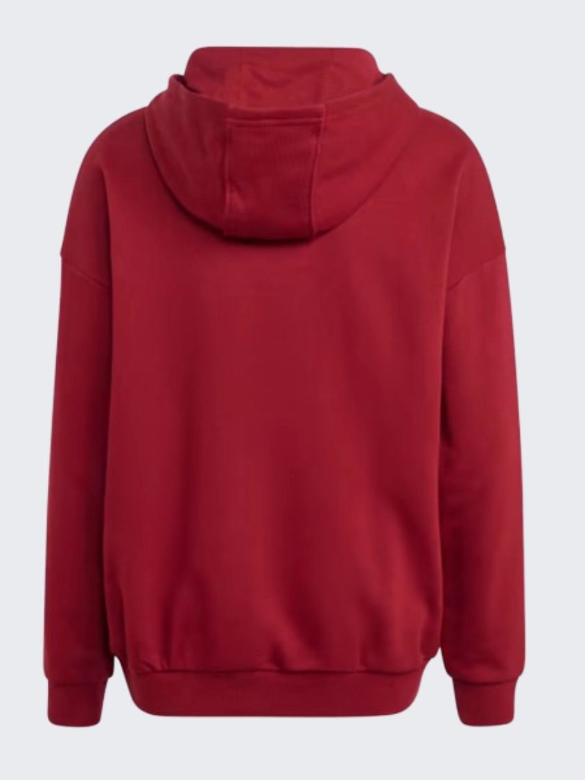 Adidas Collegiate Graphic Kids-Unisex Original Hoody Collegiate Burgundy