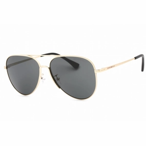 Emporio Armani Men's Sunglasses - Gold Frame Dark Grey Lens | 0EA2149D 337187